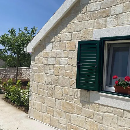 House Little Flower 1 تروغير